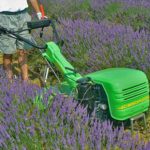 Walking Tractors Casorzo Macchine Agricole S.r.l.