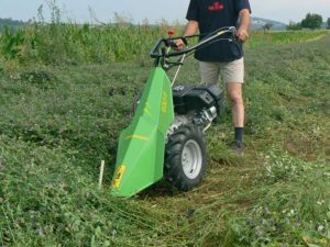 taglio erba con motofalciatrice golf-f | Casorzo Macchine Agricole